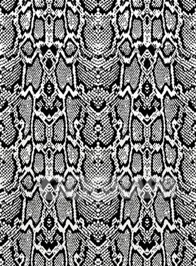 Zeak Daniels thumbnail