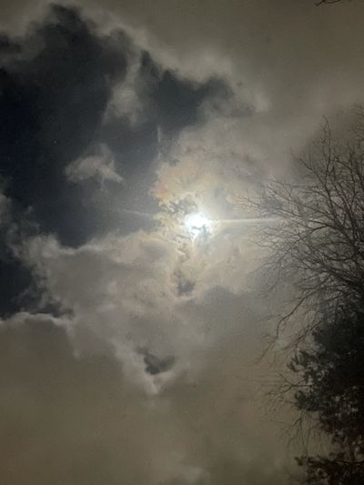 sunnybunny.xo2 thumbnail