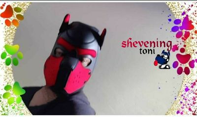 pup_shevening thumbnail