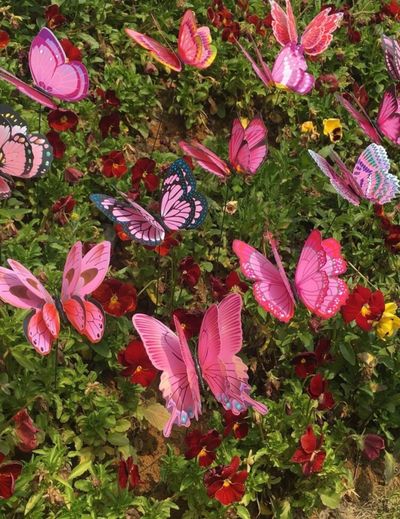 amaniiamorr thumbnail