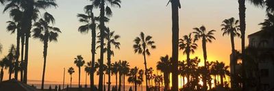 missbanks2569 thumbnail