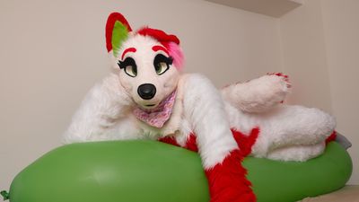 belkalunokhod thumbnail