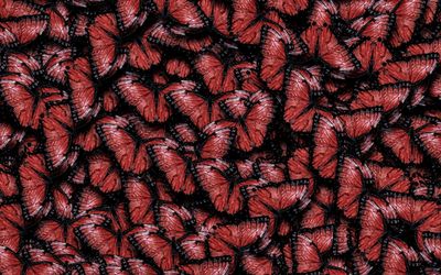 oso_muchdick thumbnail