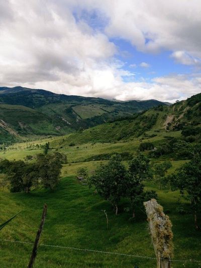 u226586293 thumbnail