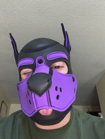 pupdrako profile