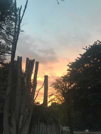 Ashley May thumbnail