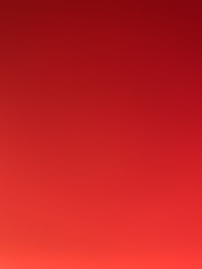 kingofthesportsbook thumbnail