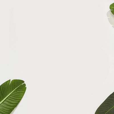 aprilcharmms thumbnail