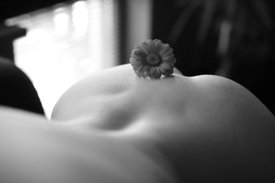 i_zombiecookie_i thumbnail