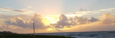 Lemon Dream Hustle thumbnail