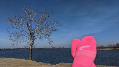 u121729632 thumbnail