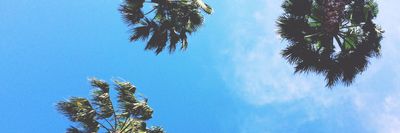 peterstealxxx thumbnail