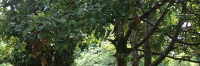 naughtyboycurt thumbnail