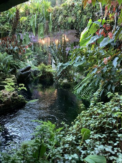 nakeyplantgirl thumbnail