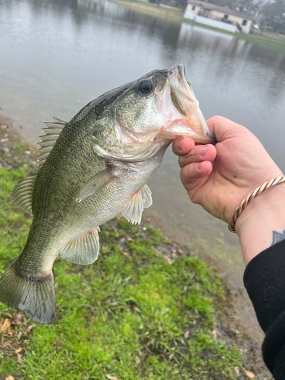 hunter48641 thumbnail