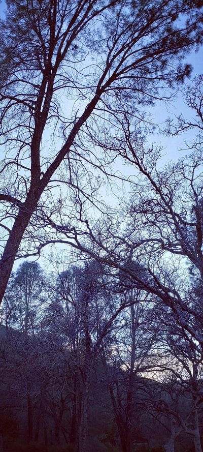 kineticpotential96 thumbnail