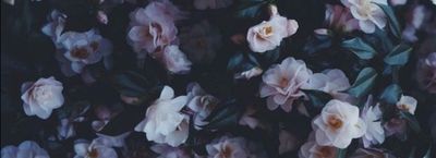 bumpkinboo thumbnail