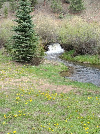 Christian C thumbnail