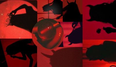 liana_yuu_ thumbnail