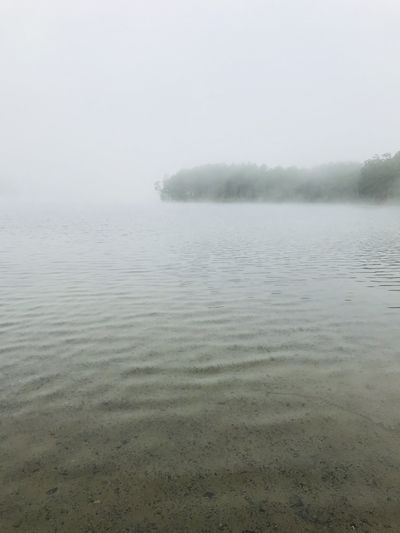 DustinScott thumbnail