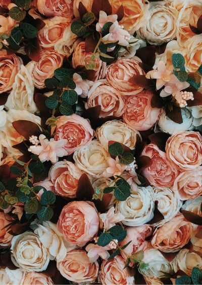 eleasamsa_free thumbnail