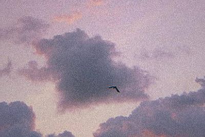 zuury.cv77 thumbnail