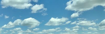 laycietina thumbnail