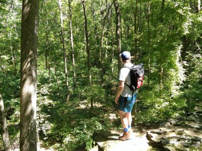 royisyaboi thumbnail