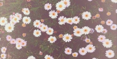 littlemisskinzie thumbnail