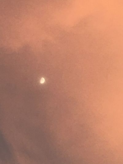 cherrydrxdd thumbnail