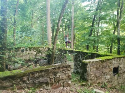 dandiascandi thumbnail