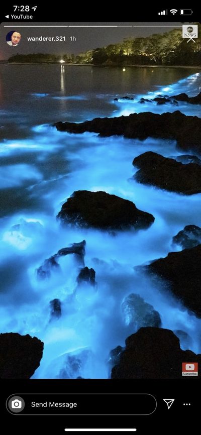 theguccihoe thumbnail