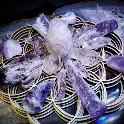 kitty.elaine thumbnail