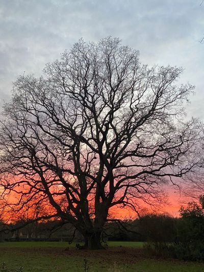 codyblackx thumbnail