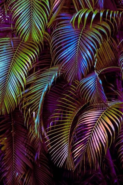 lunajade333 thumbnail