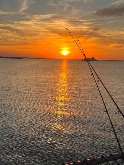 trippyebony thumbnail