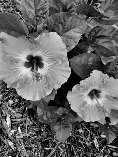 💋 R E M I thumbnail