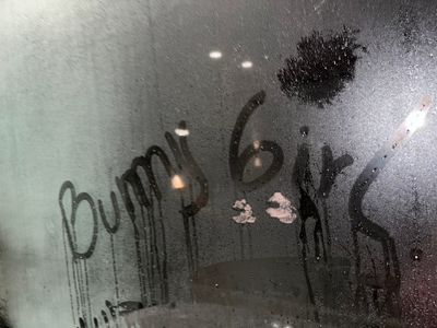 girlbunny1 thumbnail