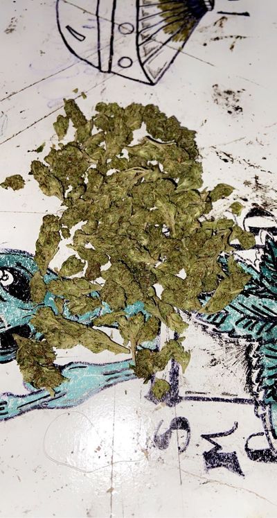 gassedoutprincessxoxo thumbnail