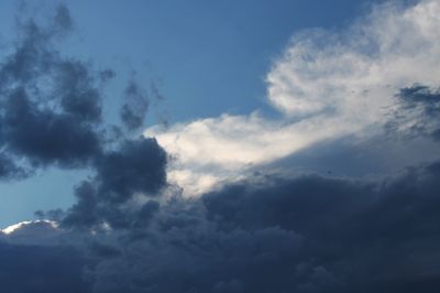 sunflower9425 thumbnail