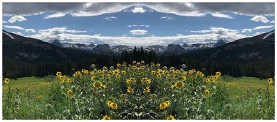 nicoleconrad thumbnail