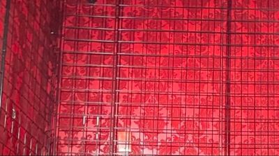 andy_charles thumbnail