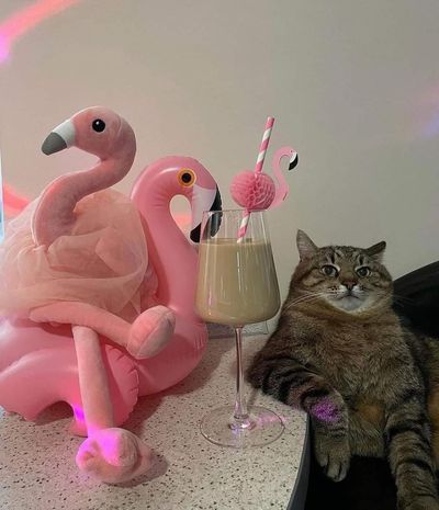 Allan Uriarte thumbnail