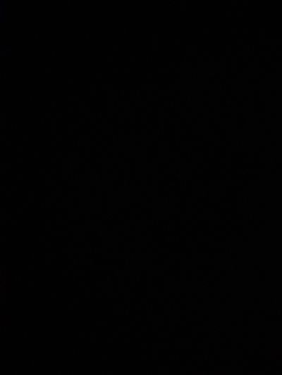 immaculantguy profile