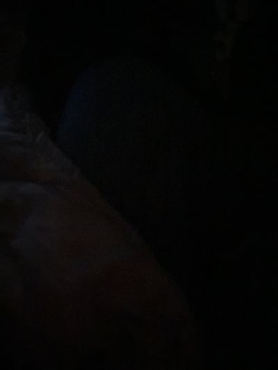 nicollesmiith thumbnail