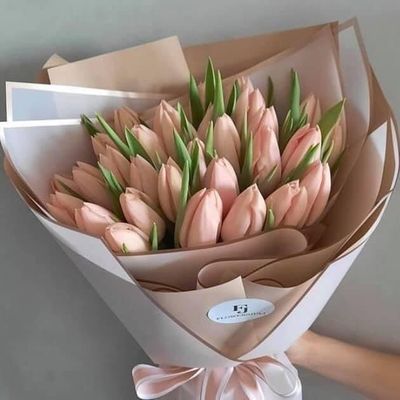 trippie.ev thumbnail