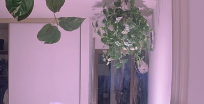 Hazyladyxxx thumbnail