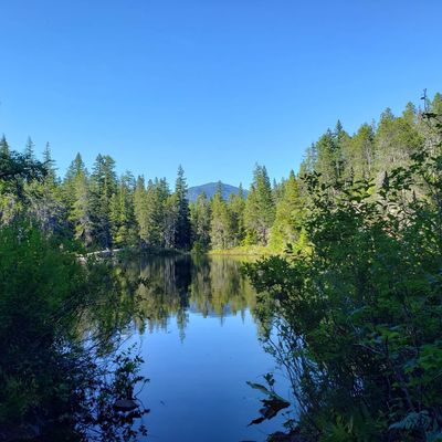 Patches the Pumpkin King thumbnail