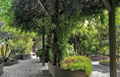 u273695274 thumbnail