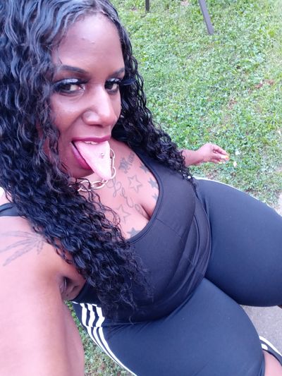 Kita Royal thumbnail